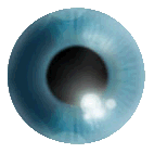 images04.gif